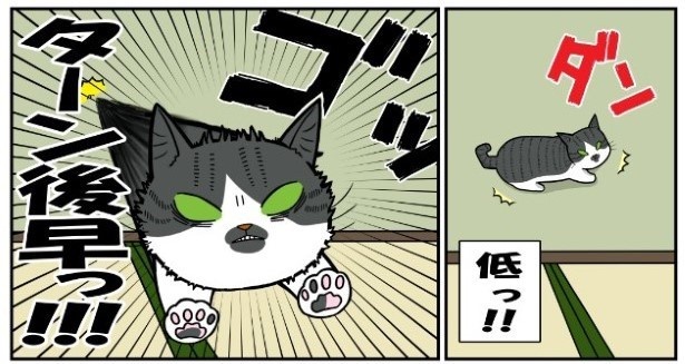 昔飼ってた猫7話「三角飛び_かづち大人編」3