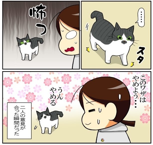 昔飼ってた猫7話「三角飛び_かづち大人編」4