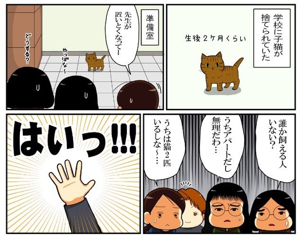いずみんちの猫_P001