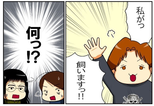 いずみんちの猫_P002