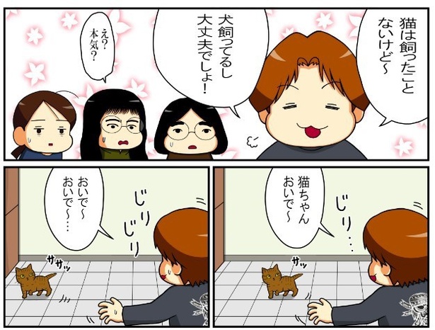 いずみんちの猫_P003