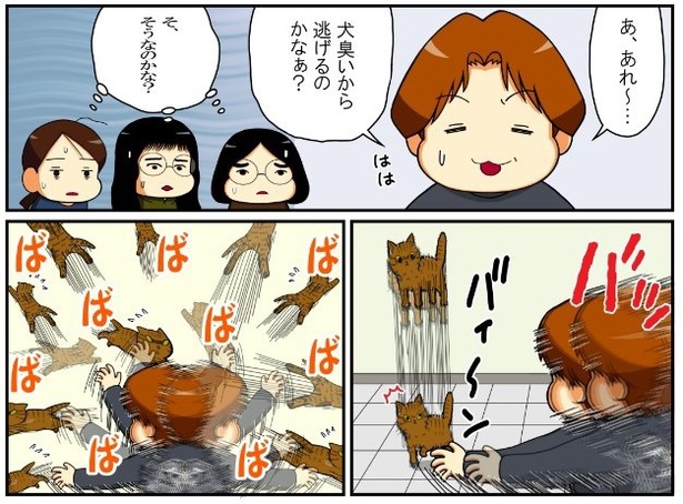 いずみんちの猫_P004