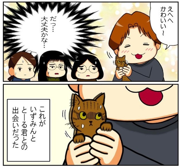 いずみんちの猫_P006