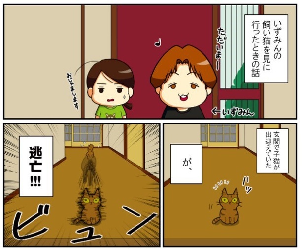 いずみんちの猫_P007
