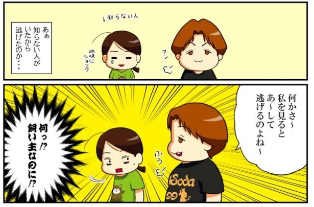 いずみんちの猫_P008