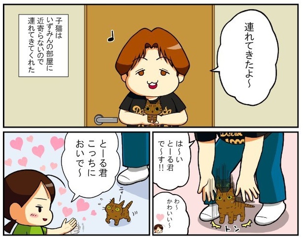いずみんちの猫_P009