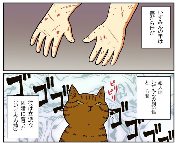 いずみんちの猫_P011