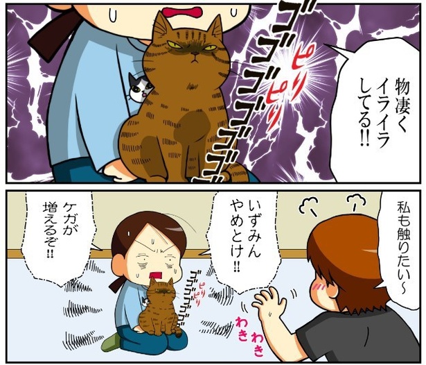 いずみんちの猫_P013
