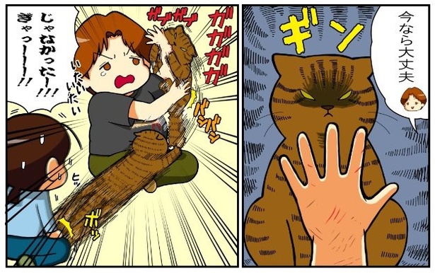 いずみんちの猫_P014