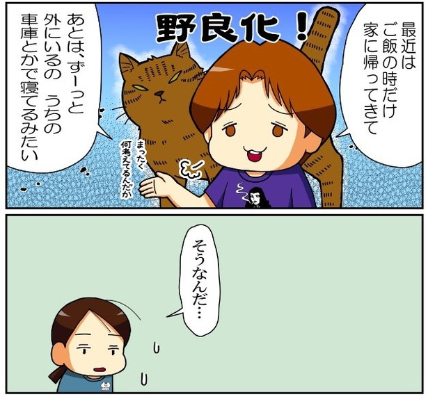 いずみんちの猫_P018