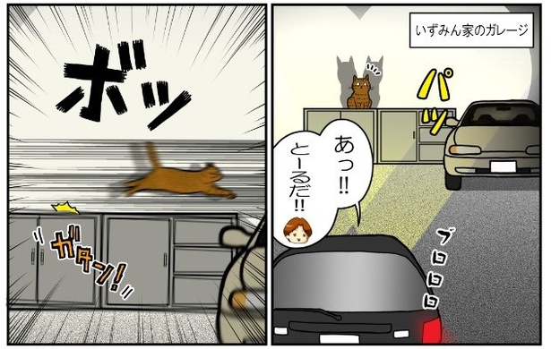 いずみんちの猫_P020