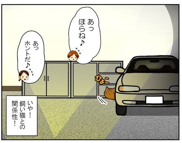 いずみんちの猫_P023