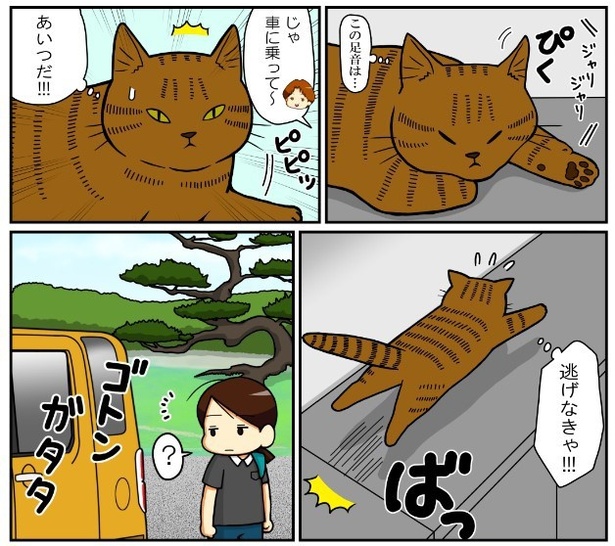 いずみんちの猫_P026