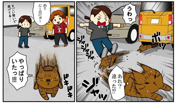 いずみんちの猫_P027