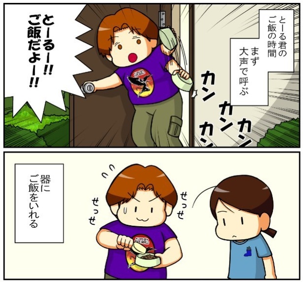 いずみんちの猫_P030