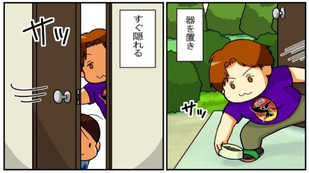 いずみんちの猫_P031