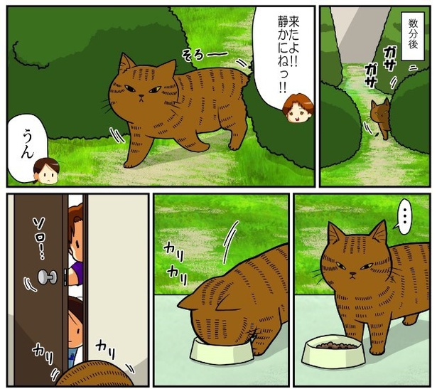 いずみんちの猫_P032