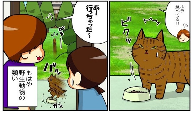 いずみんちの猫_P033