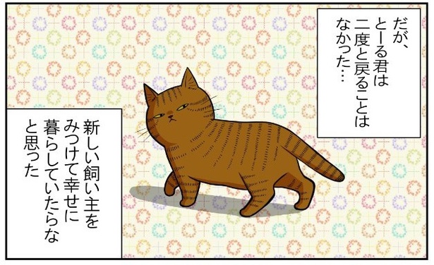 いずみんちの猫_P037