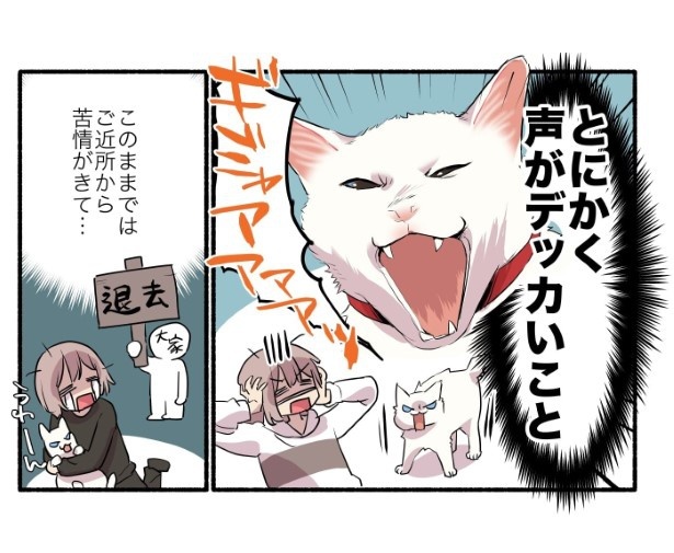 15話_白猫&青目の猫について知っておいてほしいことの話_P02