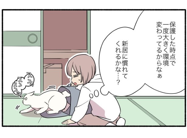 16話_猫は探しているときには返事はしない_P02