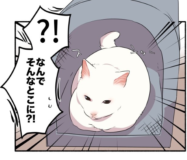 16話_猫は探しているときには返事はしない_P07
