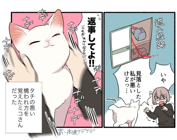 16話_猫は探しているときには返事はしない_P08