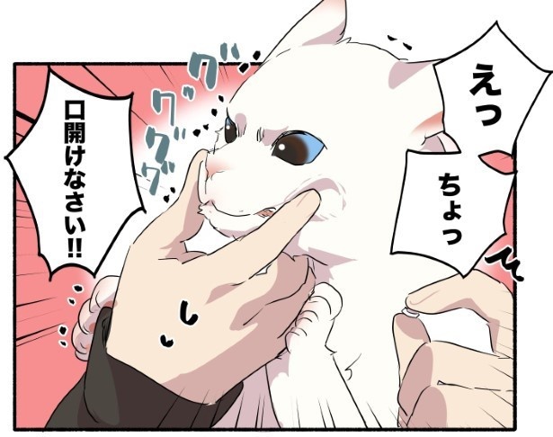 愛されたがりの白猫ミコさん14話P03
