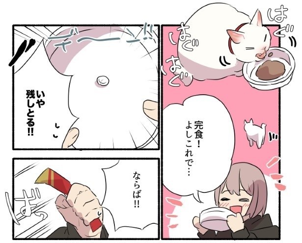 愛されたがりの白猫ミコさん14話P05