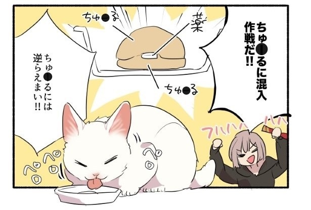 愛されたがりの白猫ミコさん14話P06