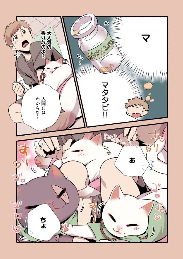 nekono24_05