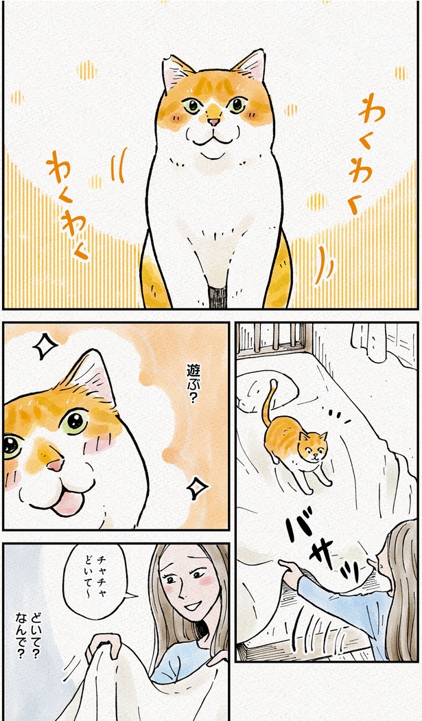 どいて？なんで？ （C）かーさん、猫野ソラ／KADOKAWA