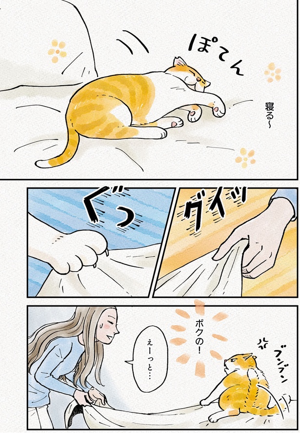ボクの！ （C）かーさん、猫野ソラ／KADOKAWA