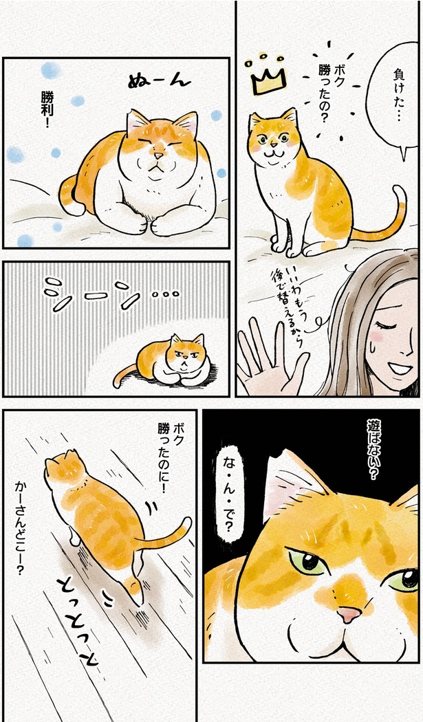 ボク勝ったのに！ （C）かーさん、猫野ソラ／KADOKAWA