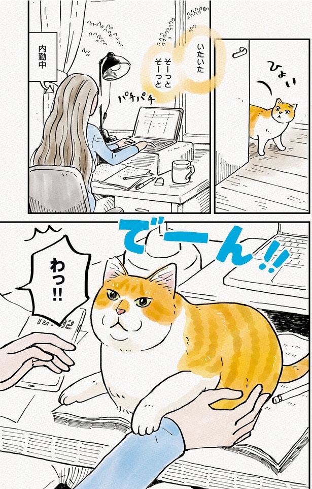 そーっとそーっと （C）かーさん、猫野ソラ／KADOKAWA