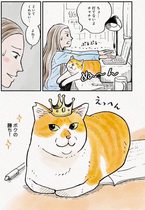 どいてくれない…よね？ （C）かーさん、猫野ソラ／KADOKAWA