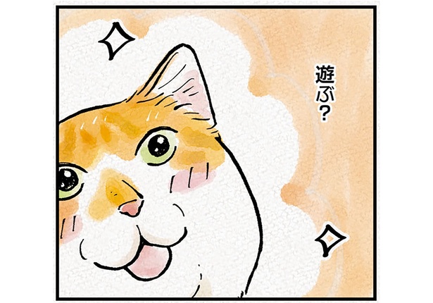 遊ぶ？ （C）かーさん、猫野ソラ／KADOKAWA