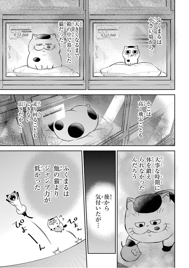 おじさまがキャットタワーを買う話06