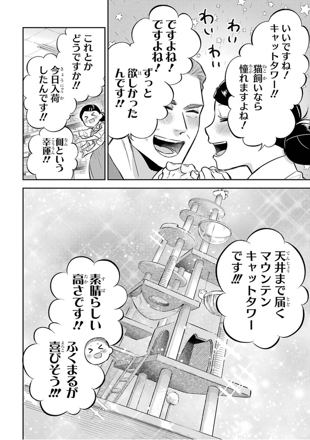 おじさまがキャットタワーを買う話09