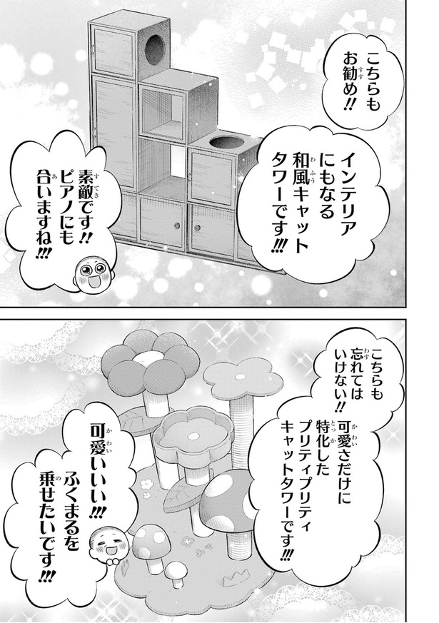おじさまがキャットタワーを買う話10
