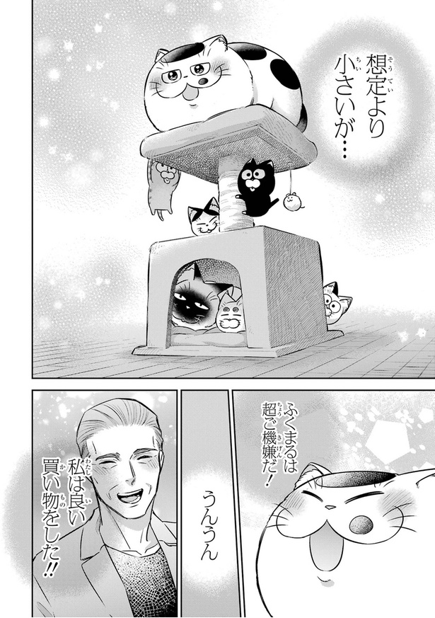 おじさまがキャットタワーを買う話23
