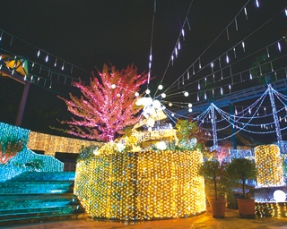 クリスマスおすすめスポット！冬のひらパーは光の遊園地