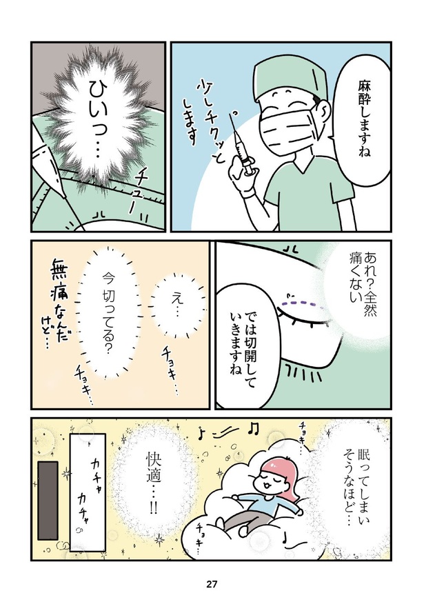 「14歳で整形した私」27