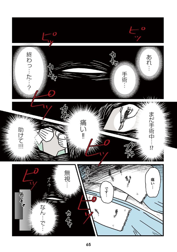 「14歳で整形した私」65