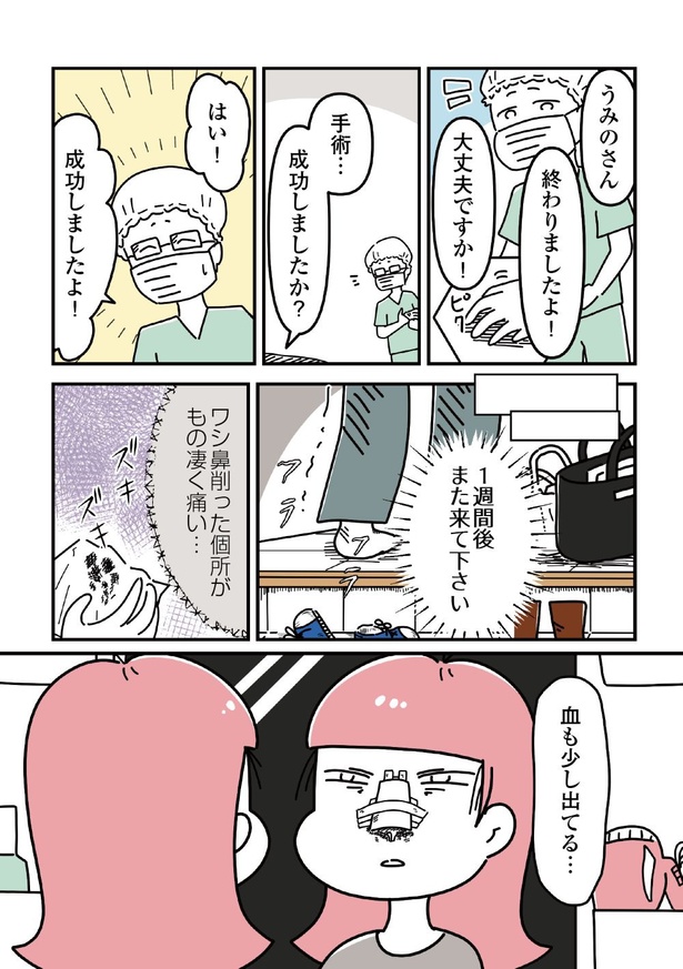 「14歳で整形した私」66
