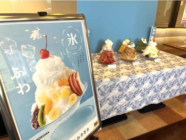 例年この時期を待ちわびるココスファンも多い