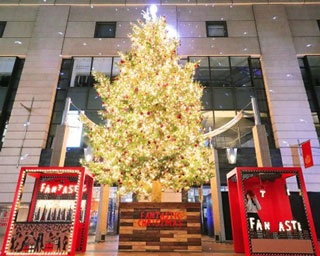 きらめくクリスマスツリーに注目！大丸福岡のイルミネーションがスタート
