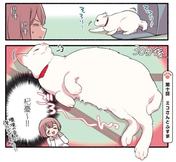 構われたくて嘘をつく甘えんぼ猫の話_P03