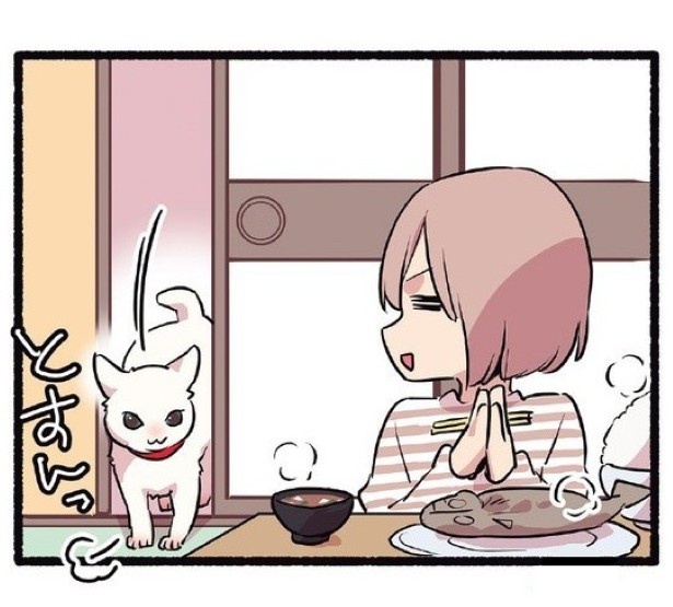 構われたくて嘘をつく甘えんぼ猫の話_P13