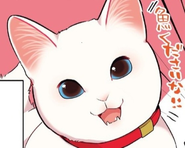 猫は嘘をつく。それもまたよし！